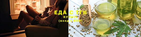 тгк Сатка
