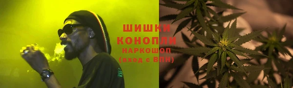 тгк Сатка