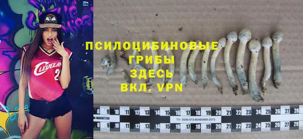 тгк Сатка