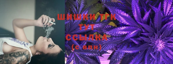 тгк Сатка