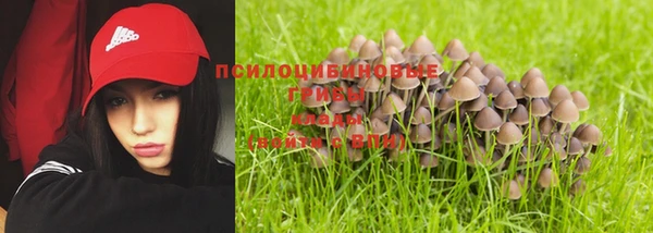тгк Сатка