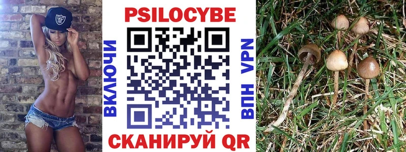 Псилоцибиновые грибы Psilocybe  Бобров 